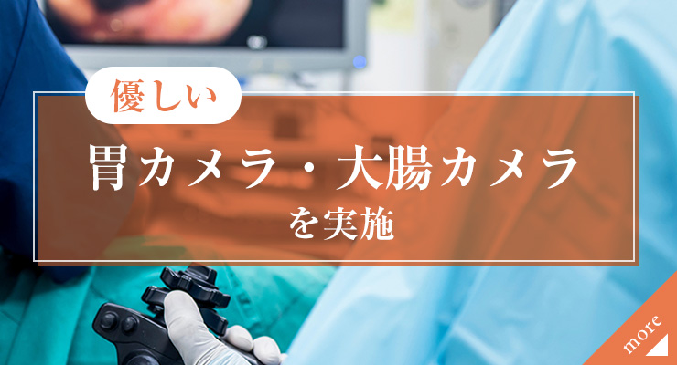 優しい胃カメラ・大腸カメラを実施